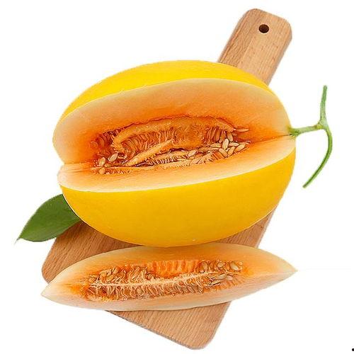 王志傲吃蜜瓜视频,一场视觉与味蕾的双重盛宴