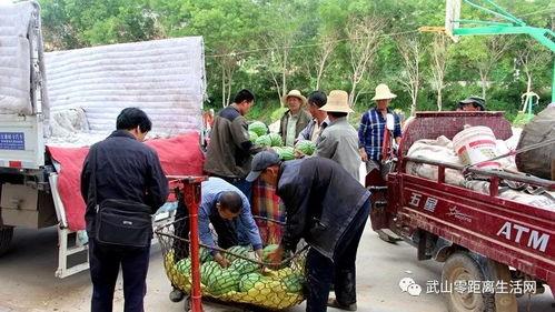 武平吃瓜群众视频曝光事件,网络舆论下的真相探寻