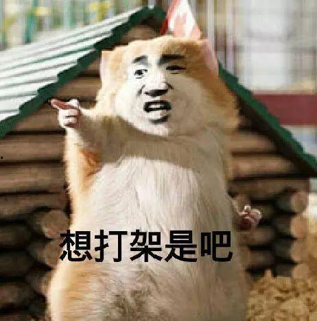 吃瓜吵架打架视频,一场视频引发的口水战与肢体冲突