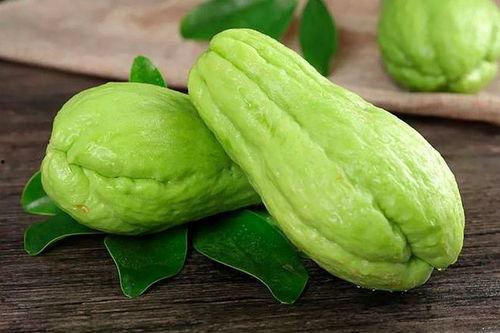 可不可以只吃佛手瓜呢视频,单一饮食的可行性与营养分析