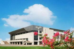 盐城工学院吃瓜视频,揭秘校园生活趣味瞬间